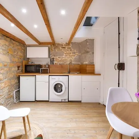 Studio Duplex Near Croix Rousse Apartment Lyon