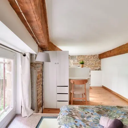 Апартаменты Duplex Near Croix Rousse *